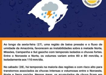 Por que uma nova vespa parasita da Amazônia pode ser tão assustadora? -  Jaguarão Online